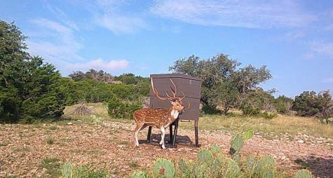 Lot 1 Highway 377 Rocksprings TX 78880