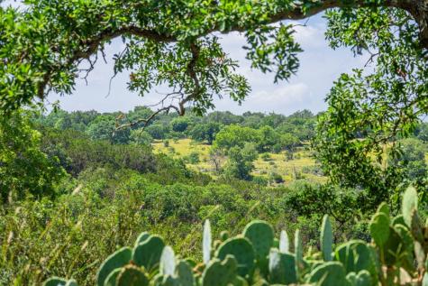 377 Green Oak Drive Kerrville TX 78028