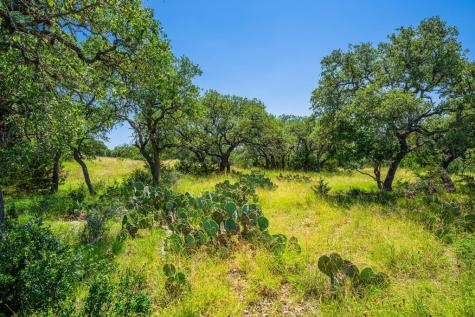 377 Green Oak Drive Kerrville TX 78028