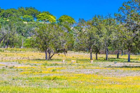 165 Williams Trail Kerrville TX 78028