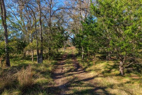 2975 Bear Creek Road Fredericksburg TX 78624