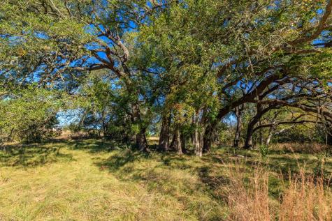 2975 Bear Creek Road Fredericksburg TX 78624