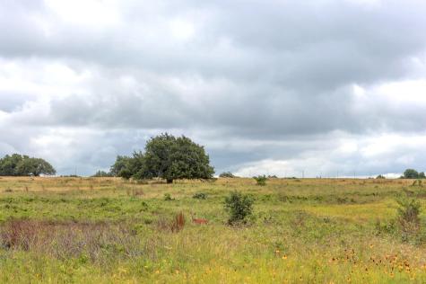 245 Big Sky Road Harper TX 78631