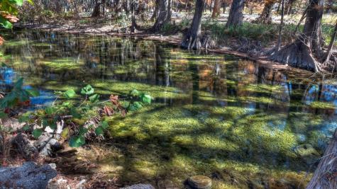 6454 Us Highway 83 Leakey TX 78873