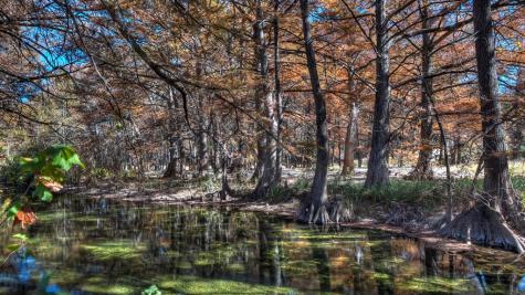 6454 Us Highway 83 Leakey TX 78873