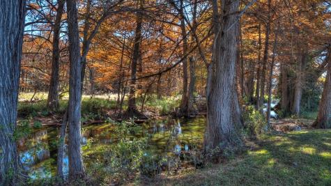 6454 Us Highway 83 Leakey TX 78873