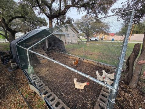 313 King Street Eden TX 76837