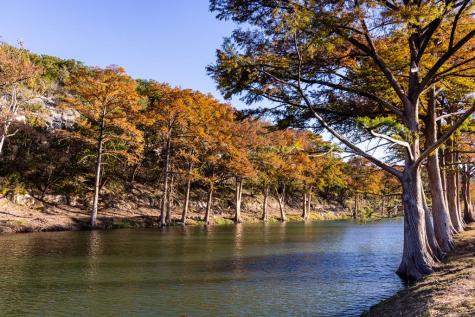174 Cedar Rock Trail Hunt TX 78024
