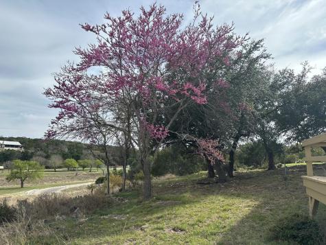 185 Cougar Park Road Hunt TX 78024