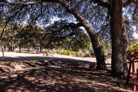 291 Scenic Valley Road Kerrville TX 78028