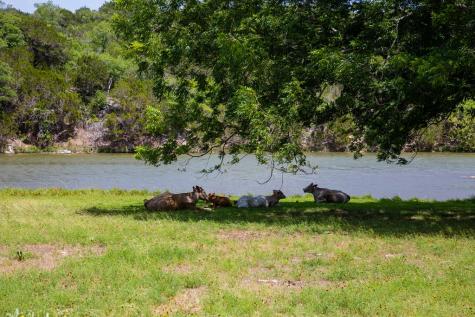 135 Lone Oak Kerrville TX 78028