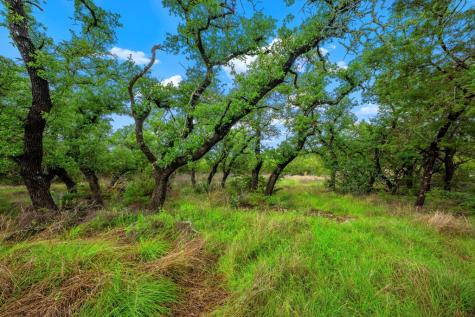 7625 Highway 16 Fredericksburg TX 78624