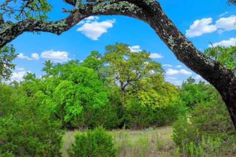 7625 Highway 16 Fredericksburg TX 78624