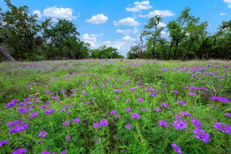 7625 Highway 16 Fredericksburg TX 78624