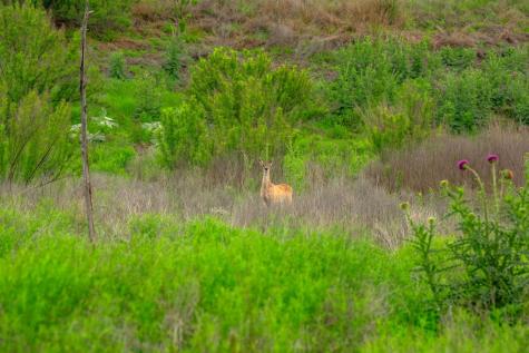 7625 Highway 16 Fredericksburg TX 78624