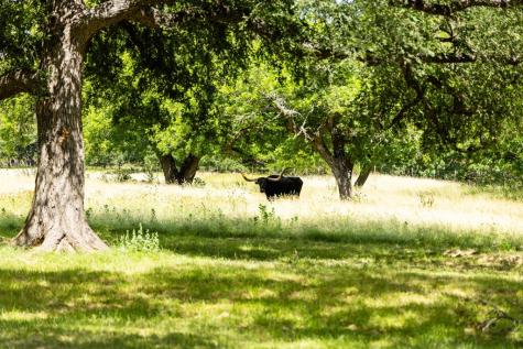 339 Henderson Branch Road Ingram TX 78025