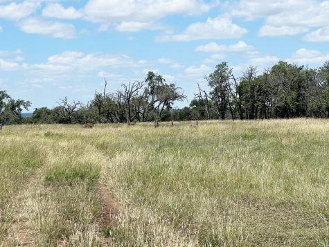 5078 Friedrich Road Fredericksburg TX 78624