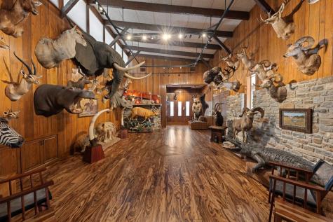 311 Crockett Street Fredericksburg TX 78624