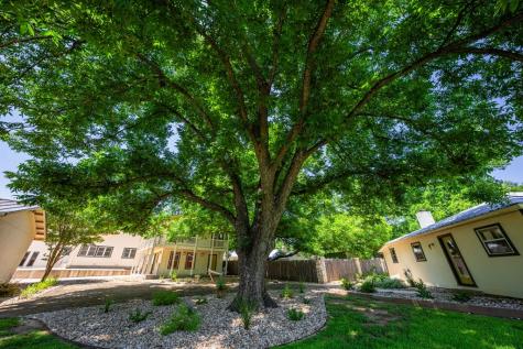 311 Crockett Street Fredericksburg TX 78624