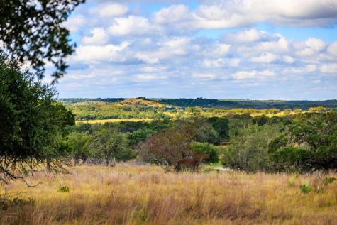 2873 Fm 1888 Fredericksburg TX 78624