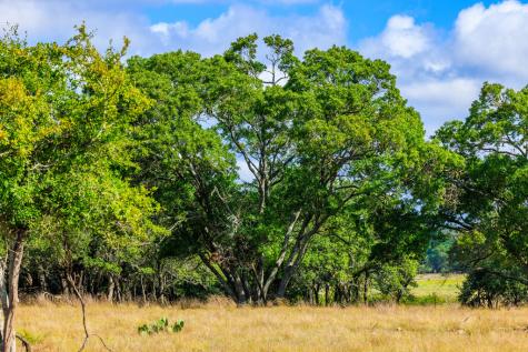 2873 Fm 1888 Fredericksburg TX 78624
