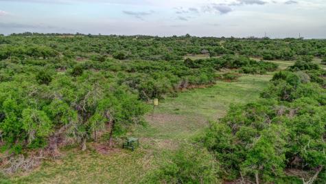 450 Jung Road Harper TX 78631