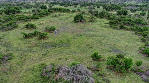 450 Jung Road Harper TX 78631
