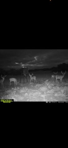 450 Jung Road Harper TX 78631