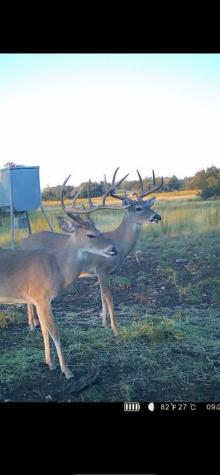 450 Jung Road Harper TX 78631