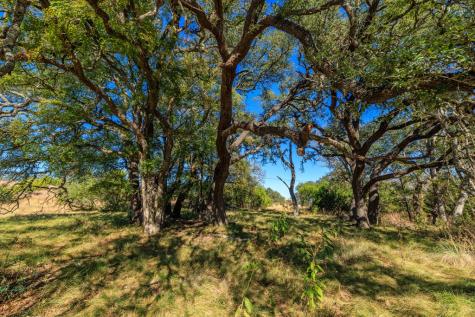 401 Clear Creek Road Fredericksburg TX 78624