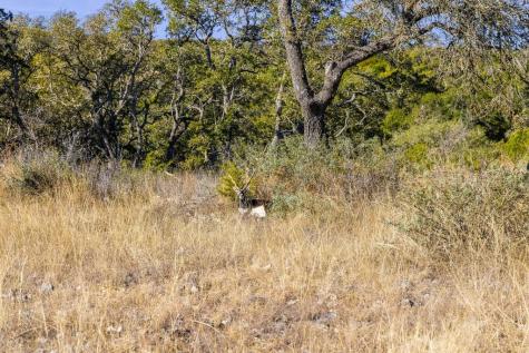 1292 Upper Turtle Creek Kerrville TX 78028