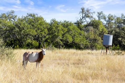 1292 Upper Turtle Creek Kerrville TX 78028
