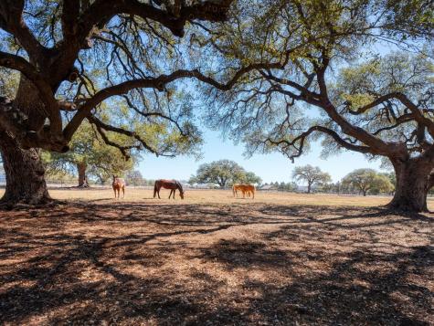 676 Highgate Bandera TX 78003