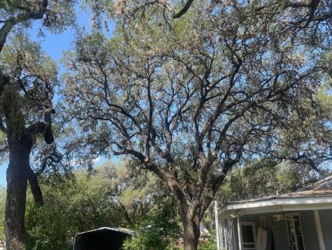 508 Nueces Street Camp Wood TX 78833