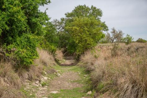 395 Bluff Creek Road Center Point TX 78010