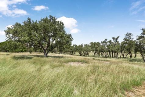 434 Gold-schaefer Road Fredericksburg TX 78624