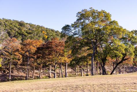 174 Cedar Rock Trail Hunt TX 78024