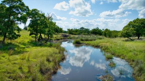 1411 Grape Creek Road Fredericksburg TX 78624