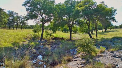 1411 Grape Creek Road Fredericksburg TX 78624