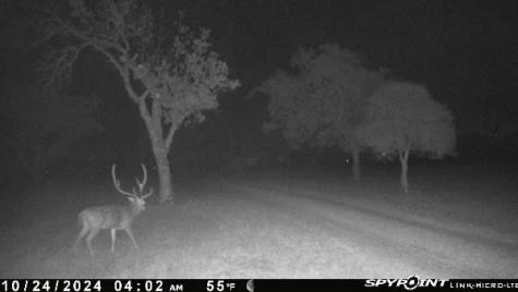 2814 Panther Hollow Drive Bandera TX 78003