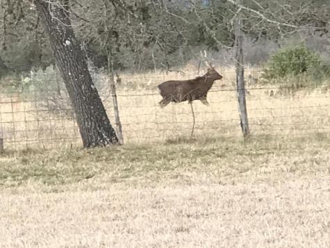 2814 Panther Hollow Drive Bandera TX 78003