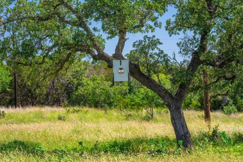 377 Green Oak Drive Kerrville TX 78028