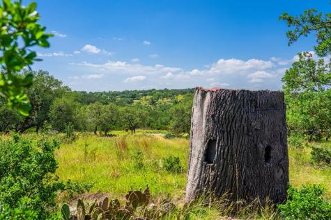 377 Green Oak Drive Kerrville TX 78028