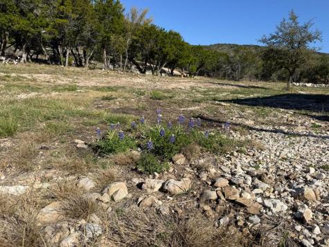 785 Pr 3350 Concan TX 78838