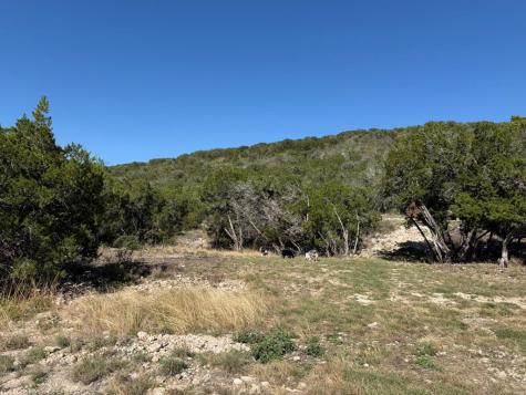 785 Pr 3350 Concan TX 78838