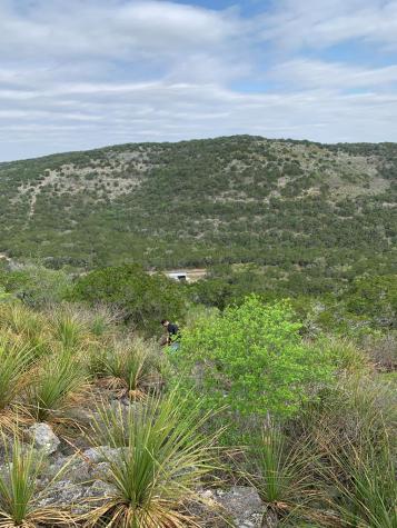 785 Pr 3350 Concan TX 78838