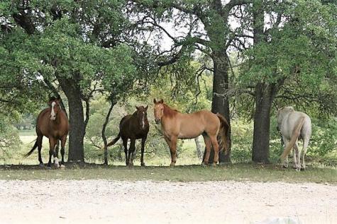502 Lost Valley Kerrville TX 78028