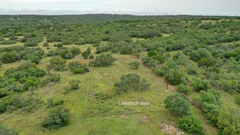 8177 Wendel Road Harper TX 78631