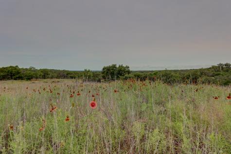 8177 Wendel Road Harper TX 78631