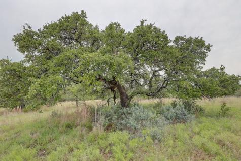 8177 Wendel Road Harper TX 78631
